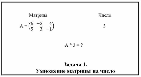 Найти Произведение По Фото